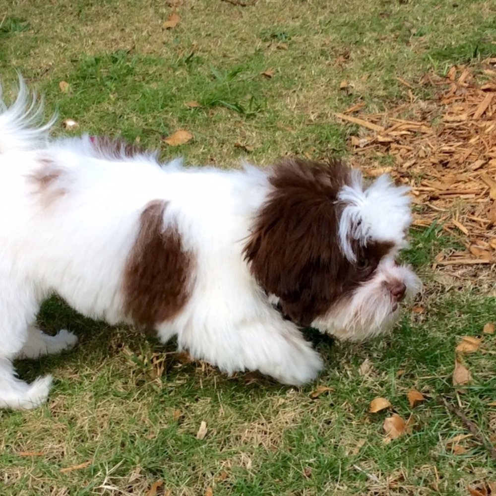 Meet your Posher, Yolanda